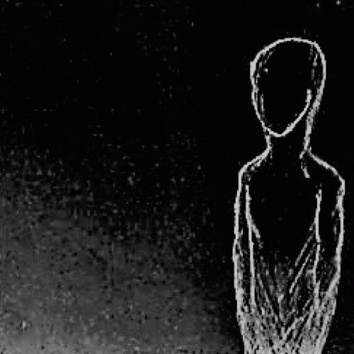 Cultor Noctis : Absence